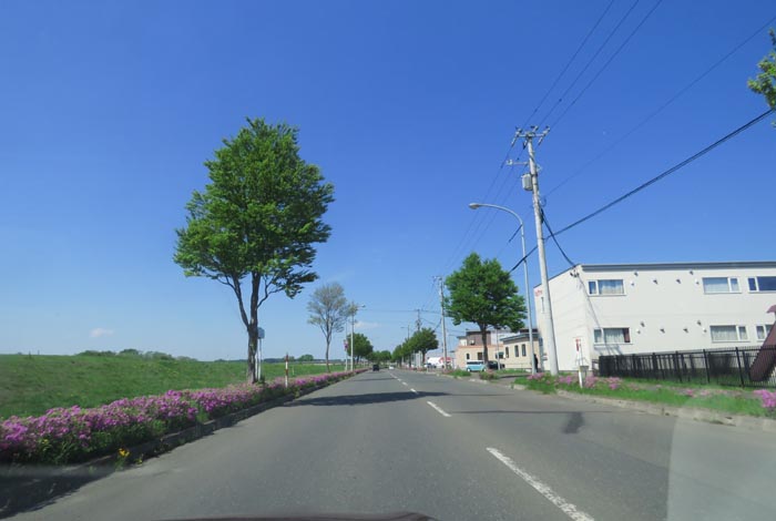 webnews̖k^kYՓXO