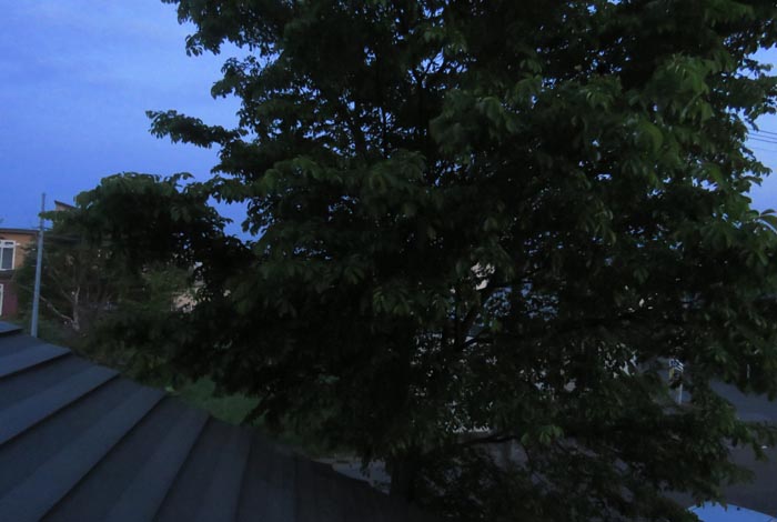 webnews今朝の北見／西の空