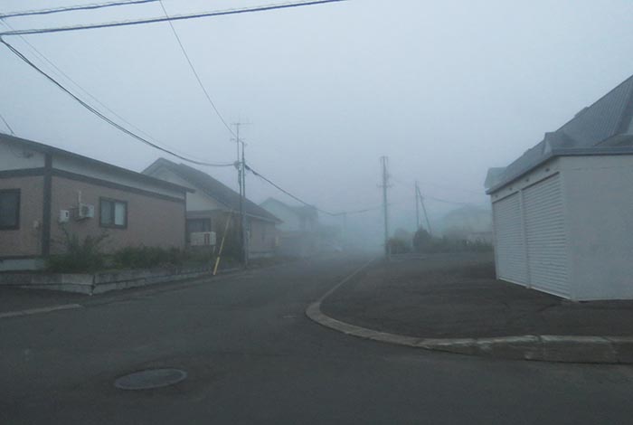 webnews̖k^ks쒬