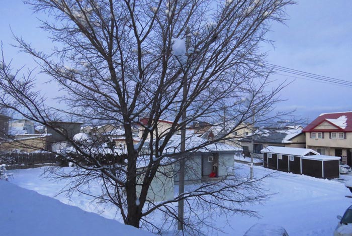 webnews�����̖k���^���̋�