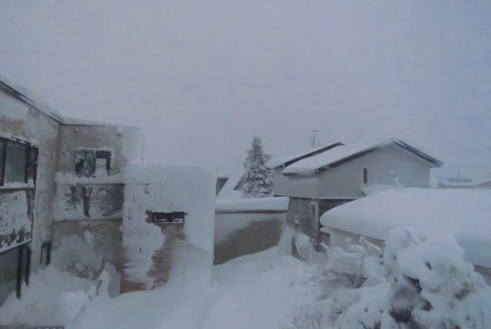 webnews�����̖k���^���̋�