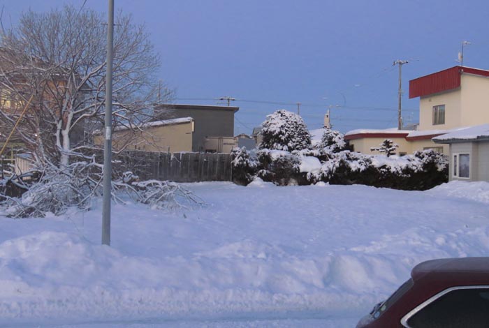 webnews�����̖k��