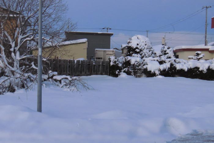 webnews�����̖k��