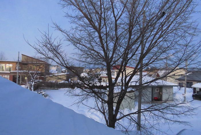 webnews�����̖k���^���̋�