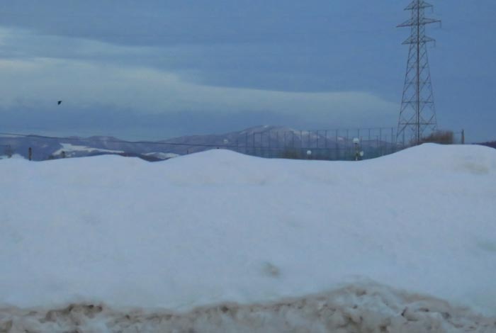 webnews�����̖k���^�m���R����ɂ͊J���ǂ̖������p�{�݂�����