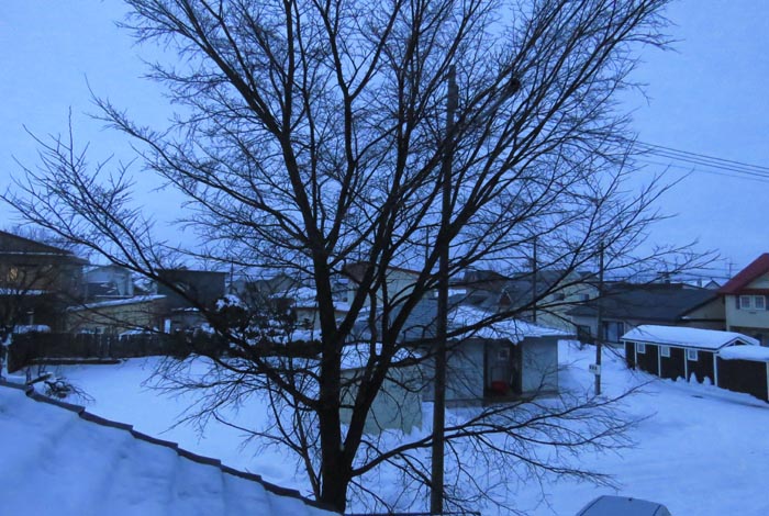 webnews�����̖k���^���̋�