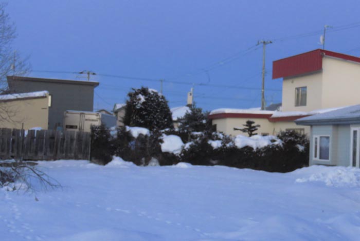 webnews�����̖k��