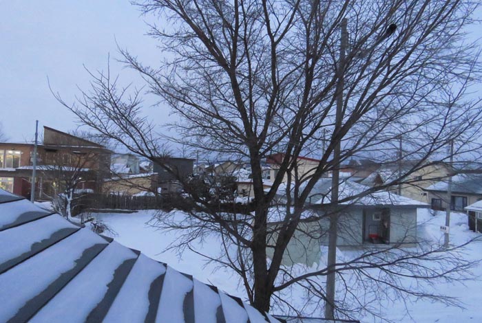 webnews�����̖k���^���̋�