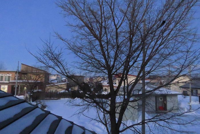 webnews�����̖k���^���̋�