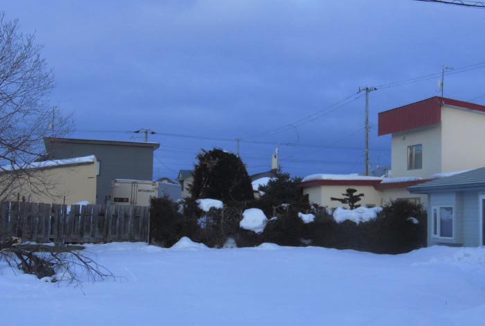 webnews�����̖k��