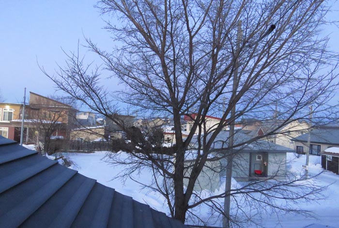 webnews�����̖k���^���̋�