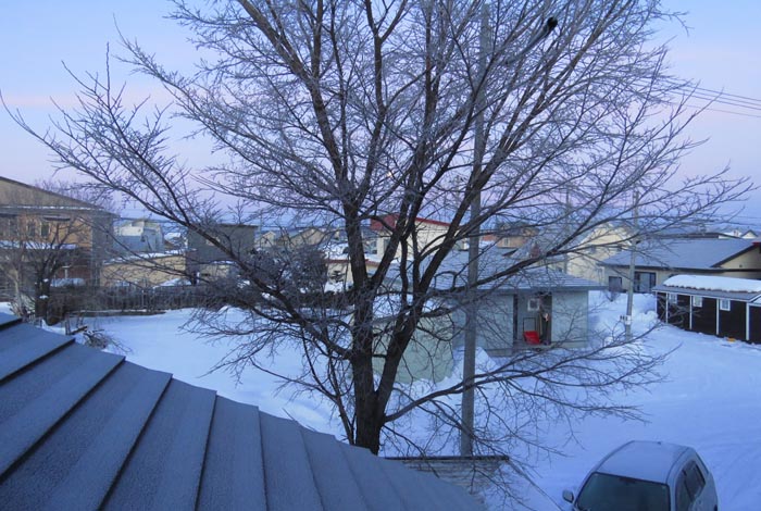 webnews�����̖k���^���̋�