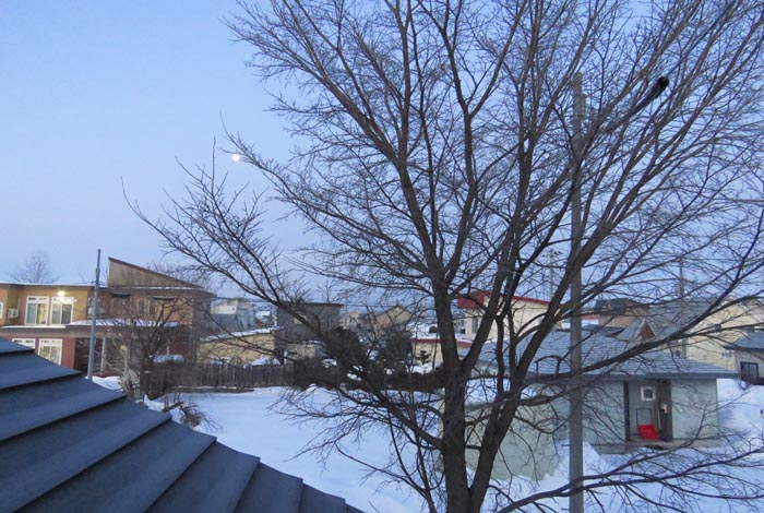 webnews�����̖k���^���̋�