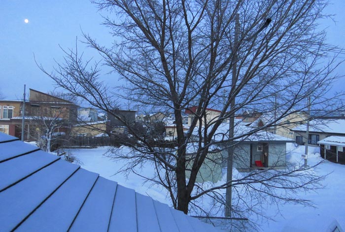 webnews�����̖k���^���̋�