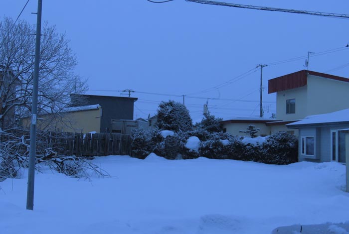 webnews�����̖k��