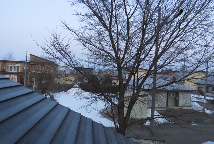 webnews�����̖k���^���̋�