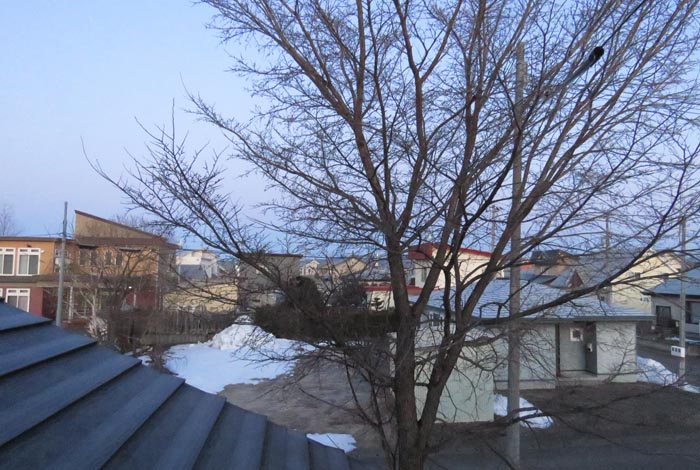 webnews�����̖k���^���̋�