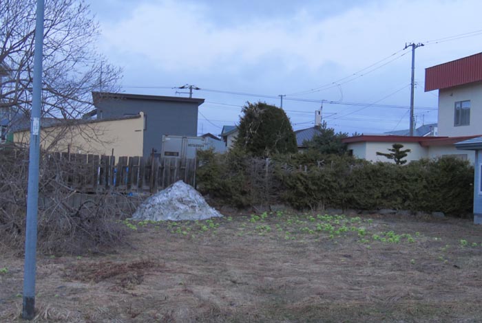 webnews�����̖k��