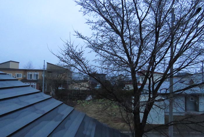 webnews�����̖k���^���̋�