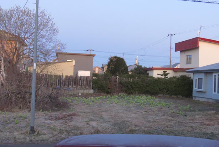 webnews�����̖k��