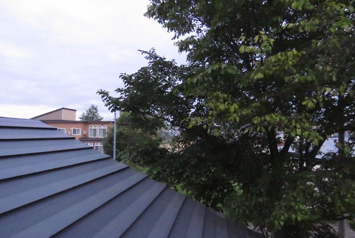 webnews�����̖k���^���̋�
