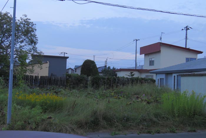 webnews�����̖k��